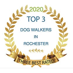 Top 3 Dog Walkers Rochester
