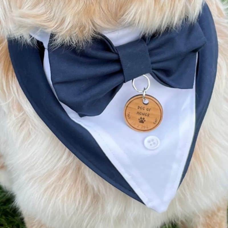 dog of honor wedding page